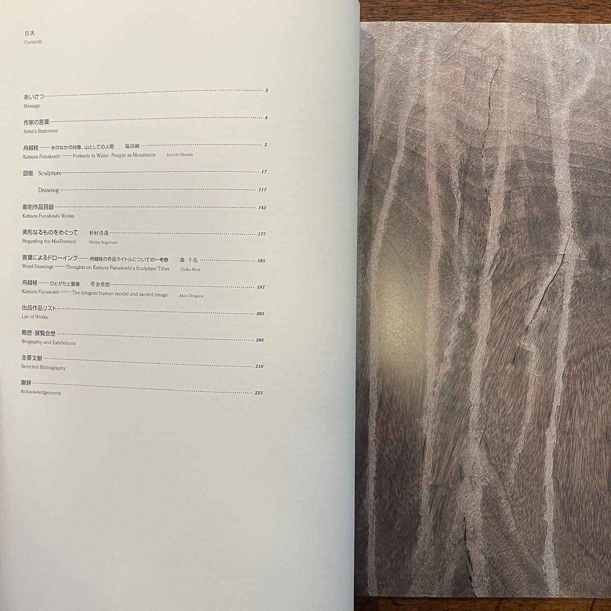 新品『舟越桂記録集』 新品『舟越桂記録集』 新品『舟越桂記録集』 Amazon.co.jp: 舟越桂展