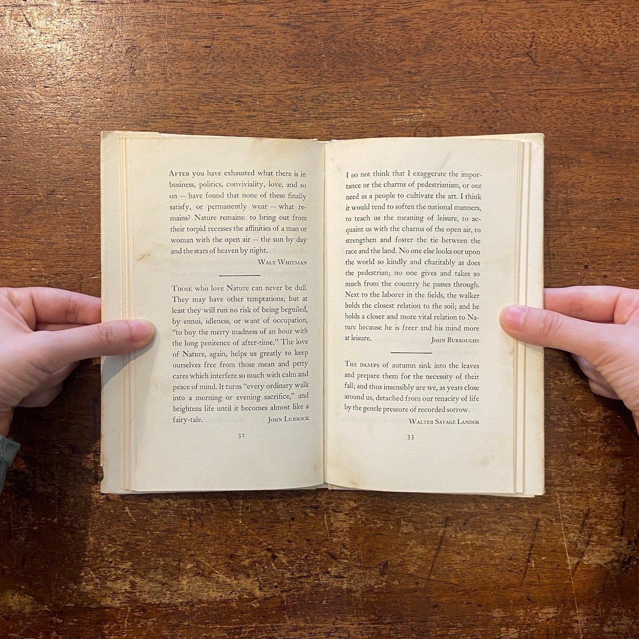 Nature Thoughts：A Selection」Louise Bachelder E