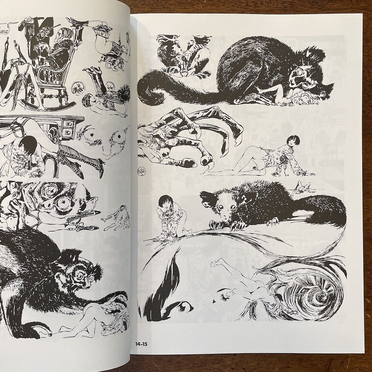 ヴァレンティーナ」グィド・クレパックス | Frobergue online store