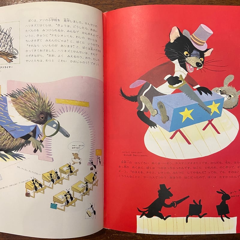 チモレオン　チモレオンの世界りょこう　金の星社　絵本　5冊セット チモレオン：オセアニアへ行く」ジャック・ガラン 絵 ダニエル