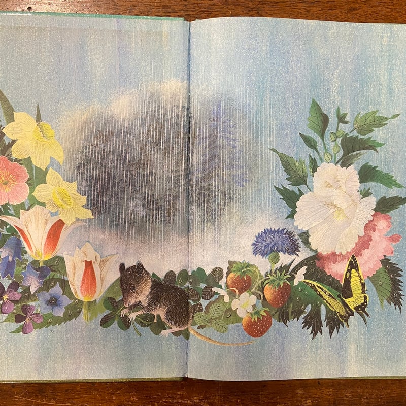 The Golden Birthday Book」Margaret Wise Brown L