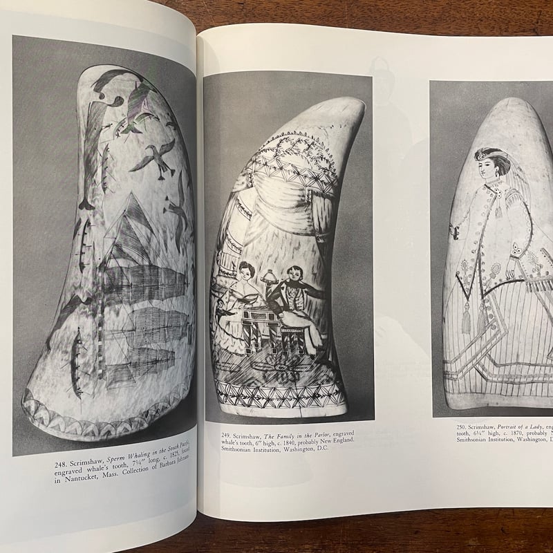 Native Americansの絵本　歴史を語る絵本　研究、論文資料に！ Native Americansの絵本 歴史を語る絵本 研究、論文資料に！