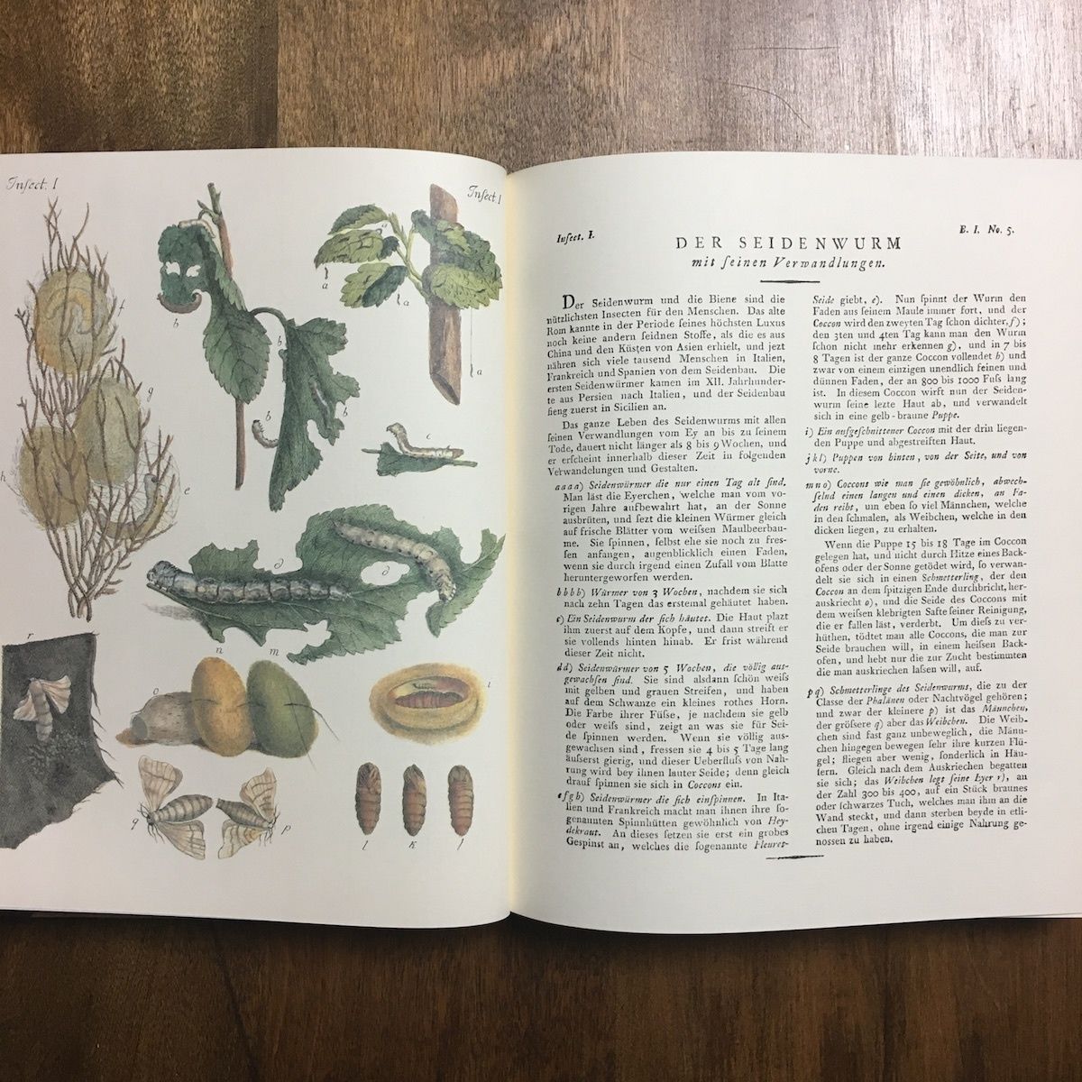 絵本・児童書コレクション 61ZuG122kmL._AC_SY200_QL15_.jpg