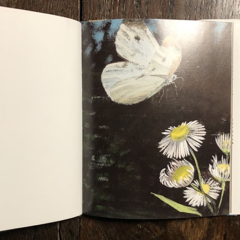まばたき」穂村弘 作 酒井駒子 絵 | Frobergue online store