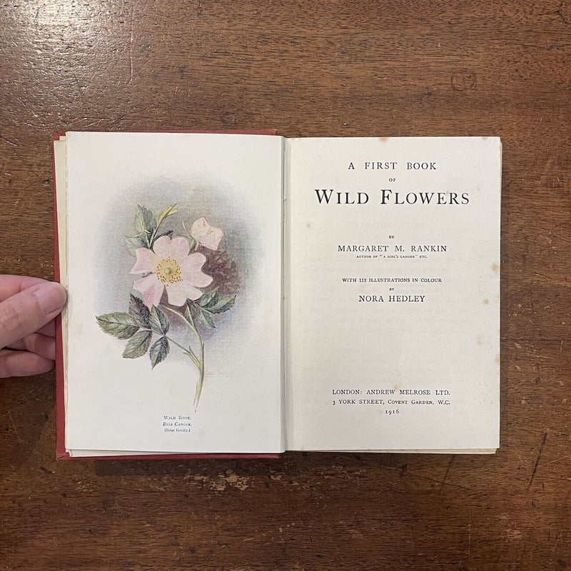 A FIRST BOOK OF WILD FLOWERS（1916年版）」M・M・Ranki