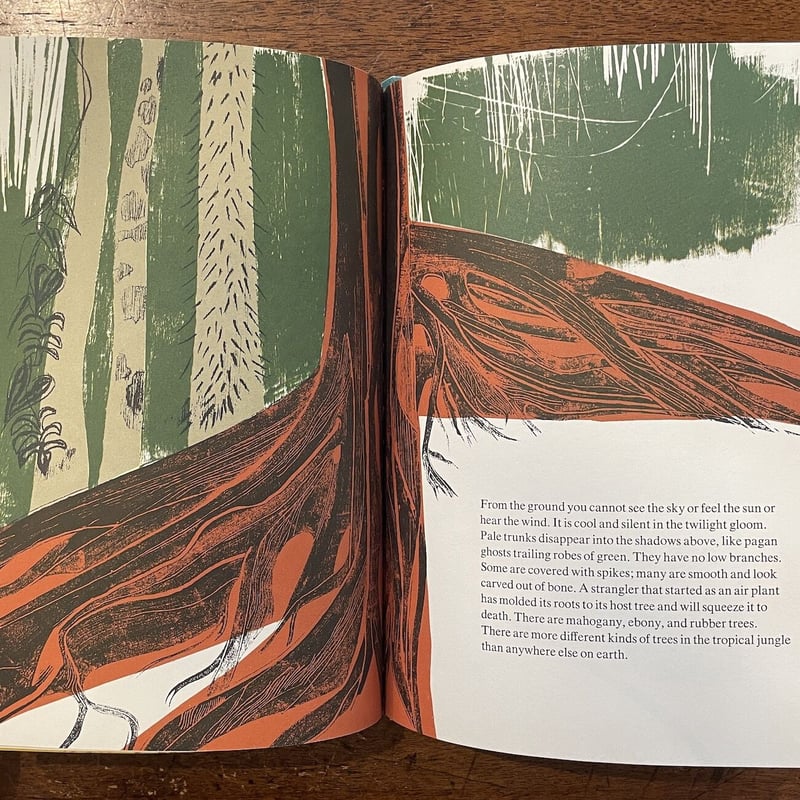 THE JUNGLE」Helen Borten（ヘレン・ボートン） | Frobergue