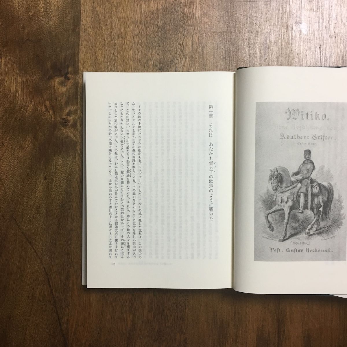 ヴィティコー 薔薇と剣の物語 アーダルベルト・シュティフター ヴィティコー 薔薇と剣の物語 第一巻」アーダルベルト・シュティフター