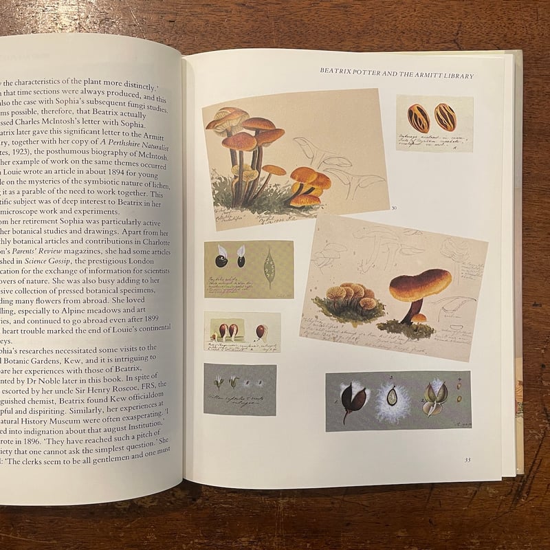 A VICTORIAN NATURALIST:Beatrix Potter's Drawin A VICTORIAN NATURALIST:Beatrix Potter's Drawin