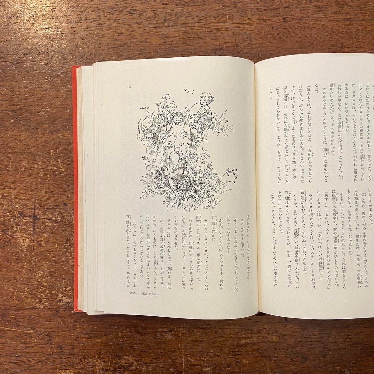 さすらいの孤児ラスムス／名探偵カッレくん：岩波少年少女文学全集11