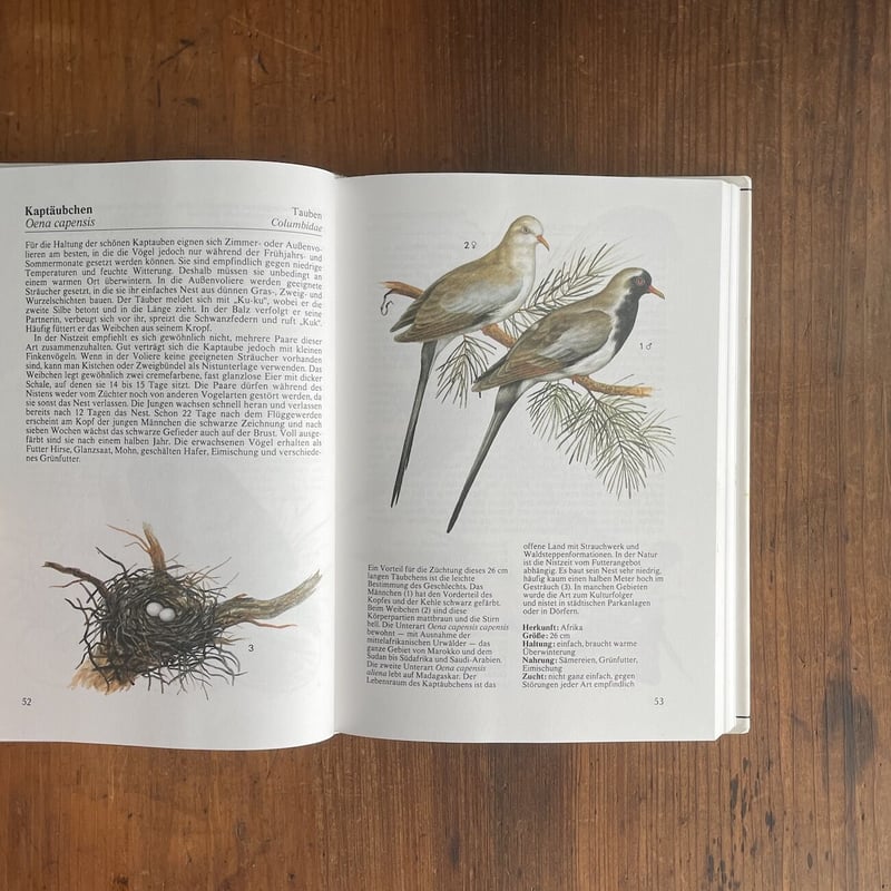 【美品】Lubok 10: Christoph Ruckhäberle【絶版本】 美品】Lubok 10: Christoph Ruckhäberle【絶版本】 美品】Lubok
