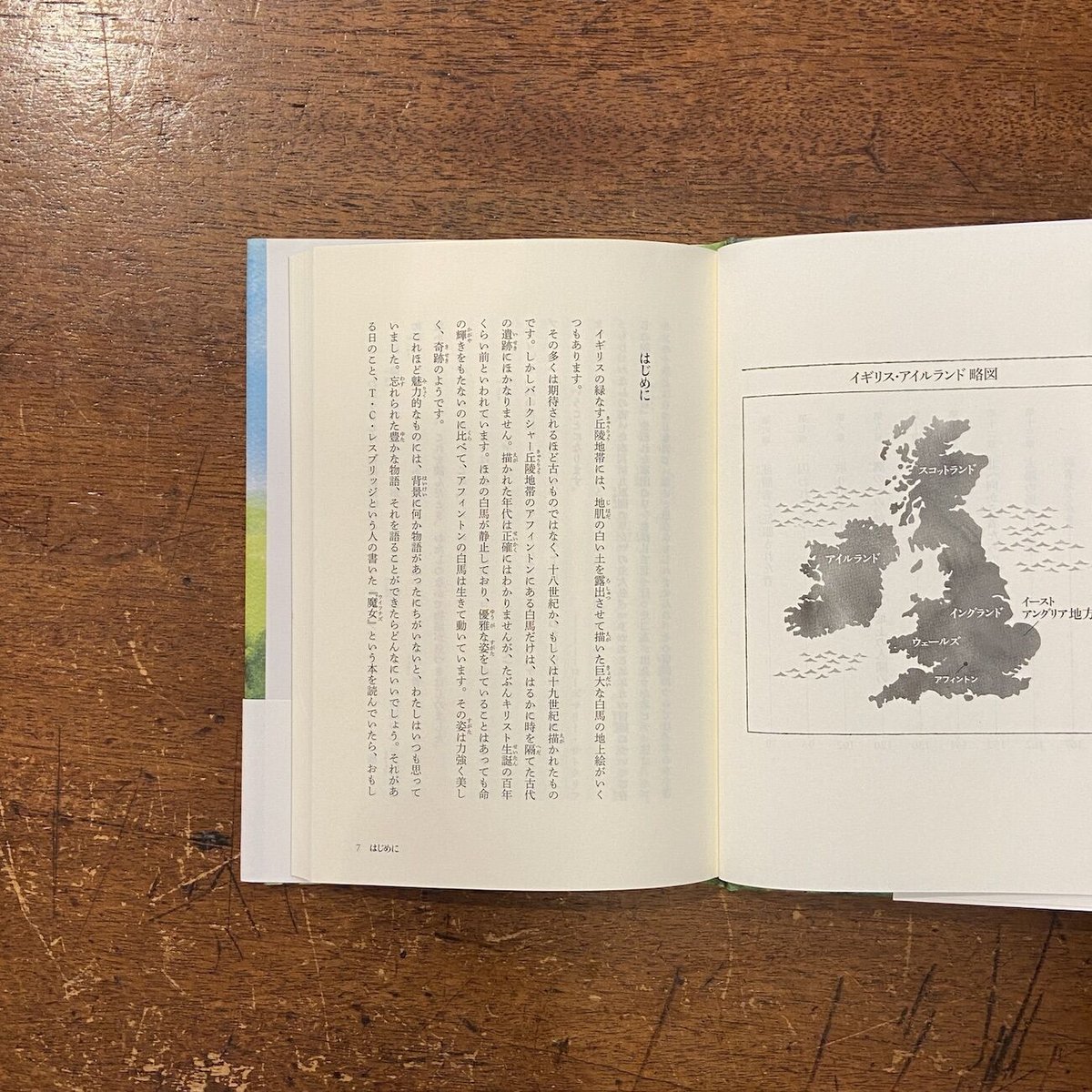 ケルトの白馬（新装版）」ローズマリー・サトクリフ | Frobergue