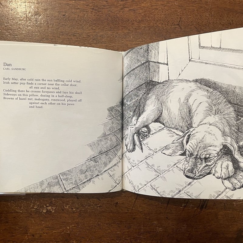 A Dog's Life」Lee Bennett Hopkins Linda Rochest