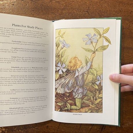 「The Flower Fairies Gardening Year」Cicely Mary Barker（シシリー・メアリー・バーカー）