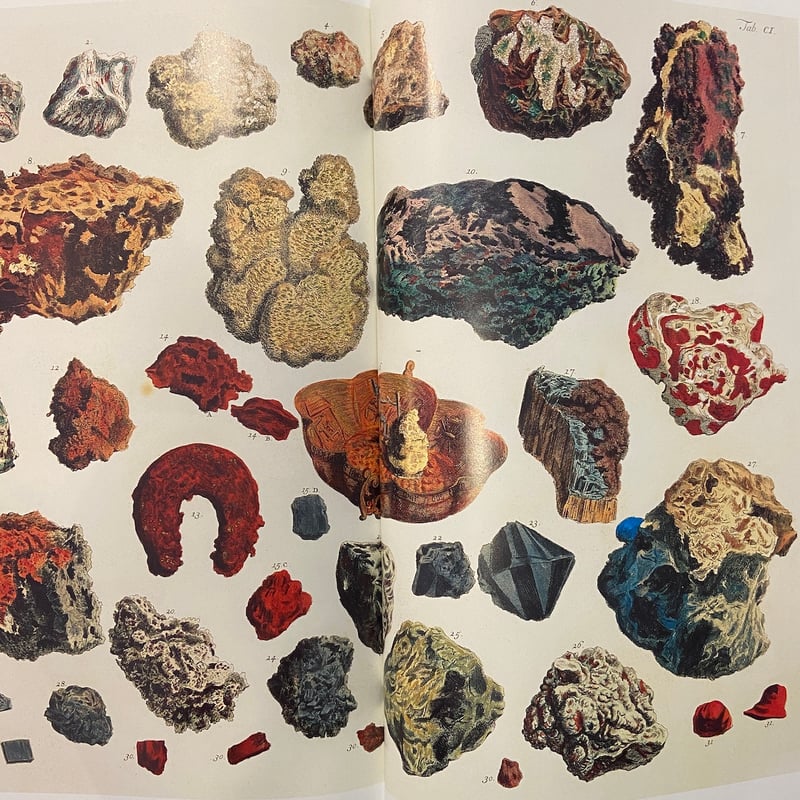 Cabinet of Natural Curiosities：The Complete Pl