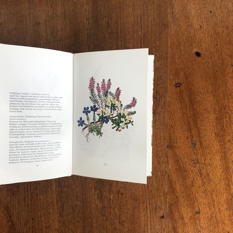 アンデルセン 詩と植物画 画集「und eine e Blume」 Alpenblumen im Fruhling（インゼル文庫 No.1142）」Josef
