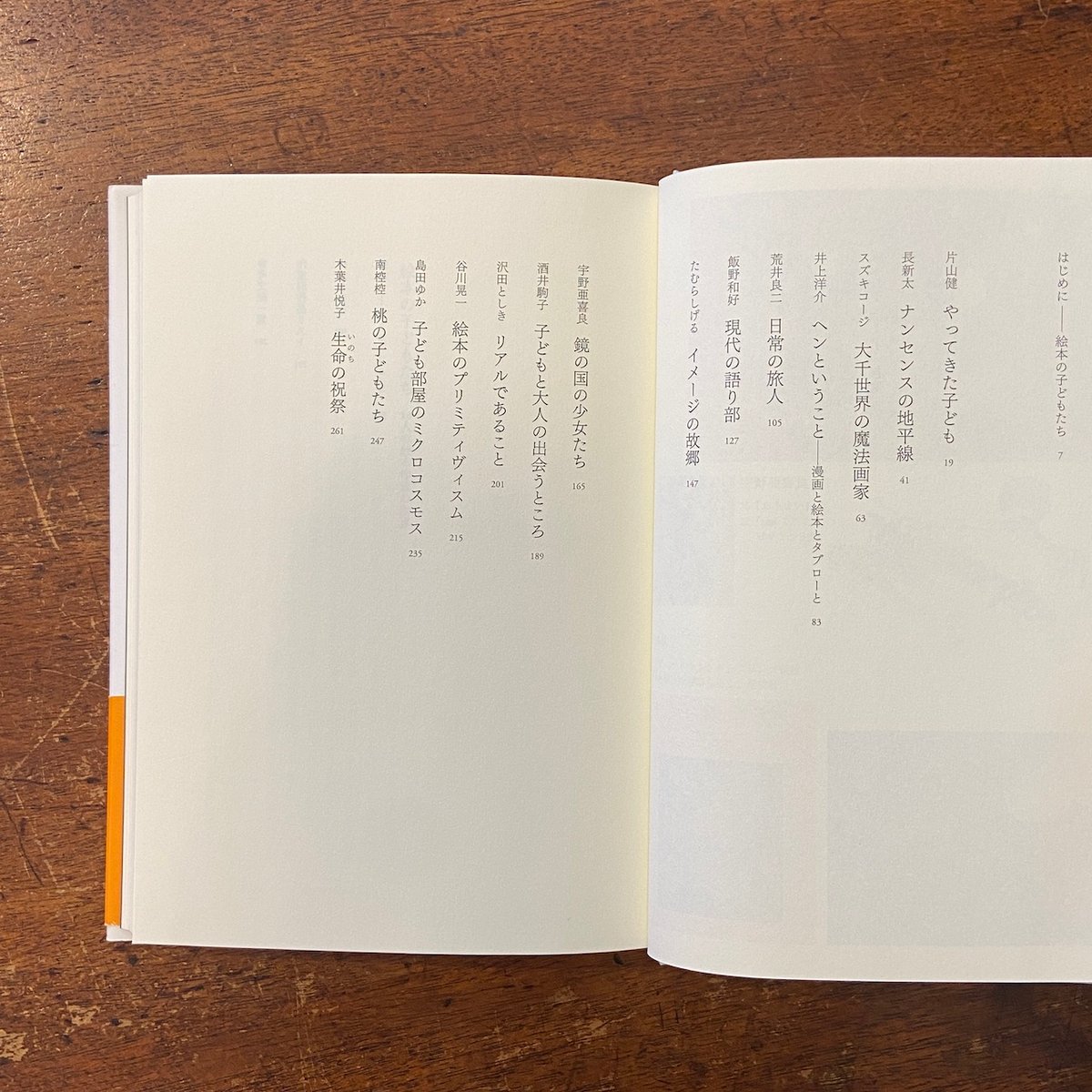 鈴木悦子 コスモス