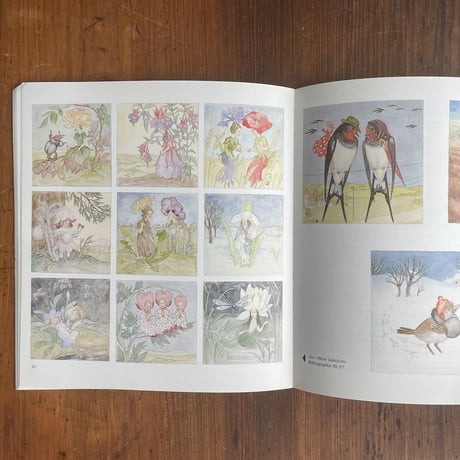 「Ida Bohatta- Morpurgo. Leben und Werk der Kinderbuchillustratorin」Ida bohatta（イーダ・ボハッタ）