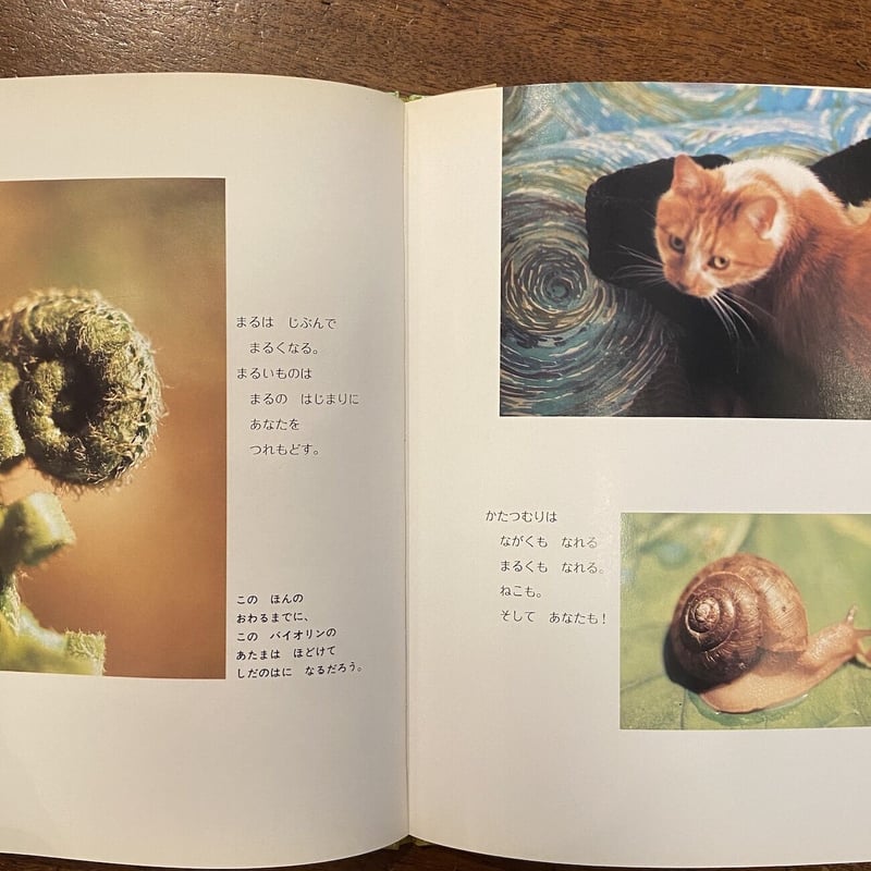 かたちをきく／マーシャ•ブラウン／谷川俊太郎／マーシャ•ブラウンの写真絵本2 かたちをきく【マーシャ・ブラウンの写真絵本2】(マーシャ・ブラウン