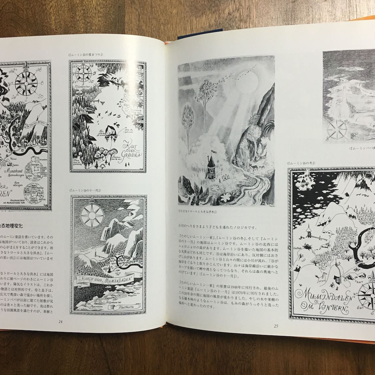 図録・カタログ おとぎの島 ムーミン谷博物館 2003-2005年 大型本 図録・カタログ おとぎの島 ムーミン谷博物館 2003-2005