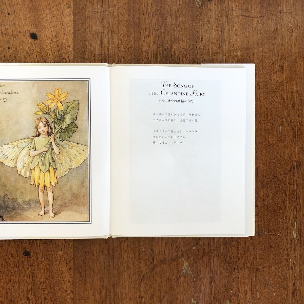 洋書・花の妖精　シシリー・メアリー・バーカー② シシリーメアリーバーカー 花の妖精 カレンダー2月フラワー