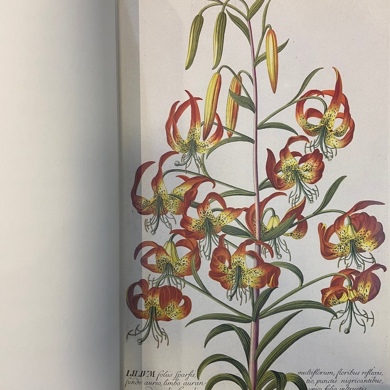 C.J.トレウ植物精選百種図譜