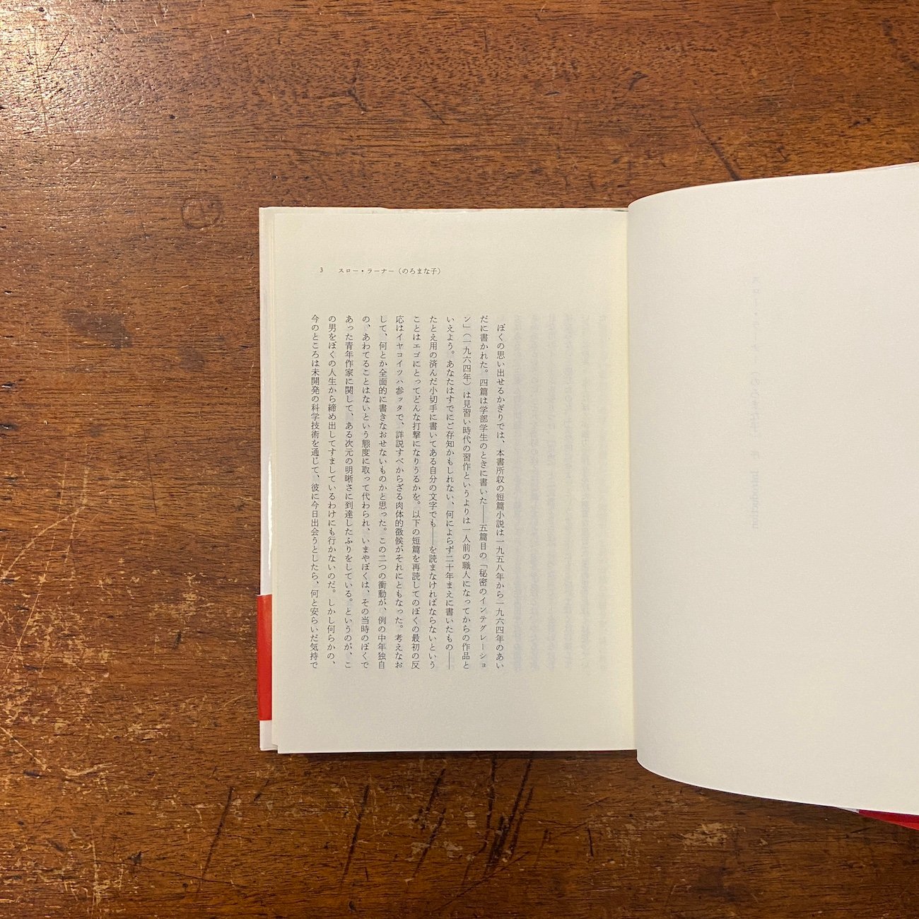 Thomas Pynchon Slow Learner ハードカバー 初版 original