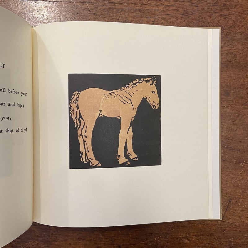 洋書・絵本　マラキー・ドイル　Cow 洋書・絵本 マラキー・ドイル Cow Cow | Book by Malachy Doyle