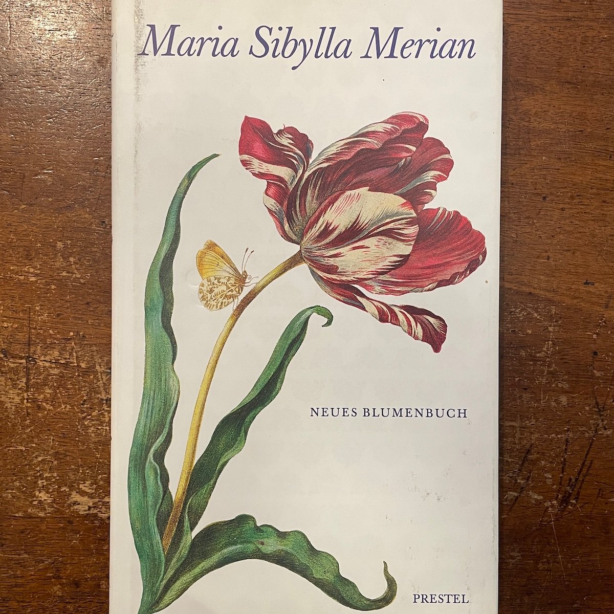 Batia Suter /Radial Grammar（付属冊子つき） 【公式通販】