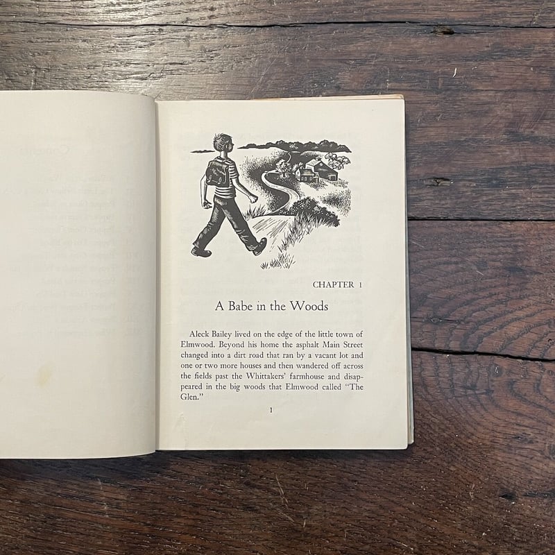 ロマンス小説の書き方 ヘレン・S・バーニハート 昭和59【初版本】 Amazon.co.jp: ロマンス小説の書き方 (HOW TO WRITE BOOKS