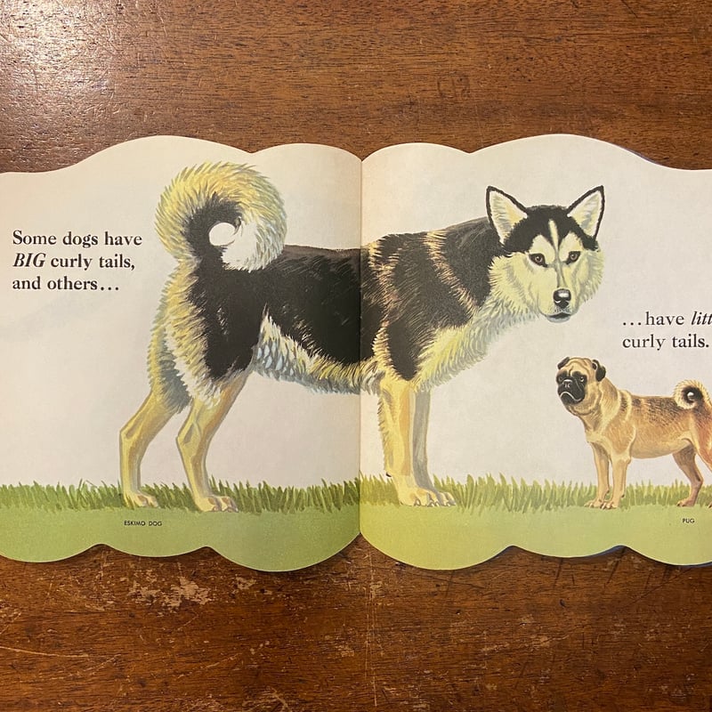 THE DOG BOOK：A GOLDEN SHAPE BOOK」Jan Pfloog |