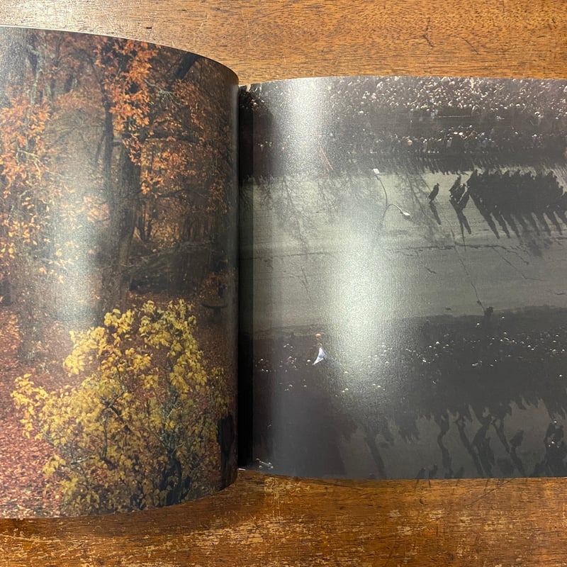 Far Too Close」Martina Hoogland Ivanow | Frober