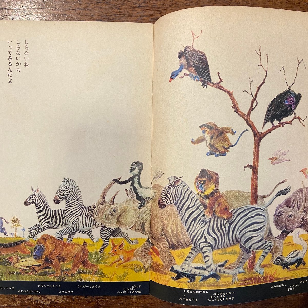 fit=scale-down,w=1200