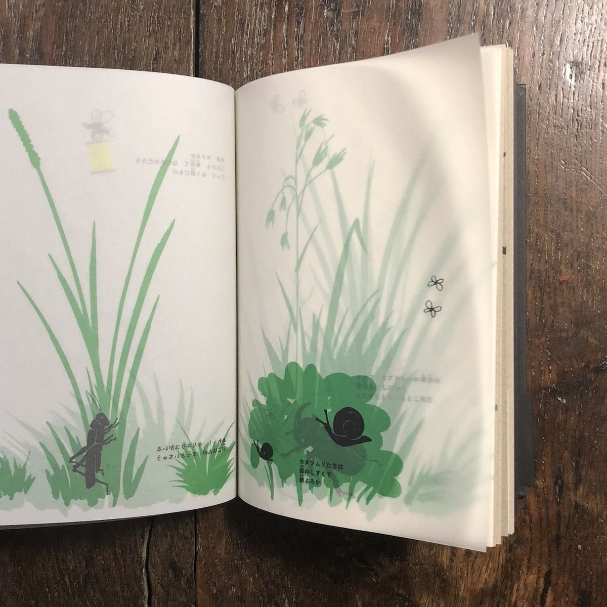 闇の夜に」ブルーノ・ムナーリ | Frobergue online store