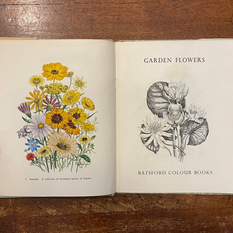 Garden Flowers（1948年）」Jane Loudon Robert Gatho