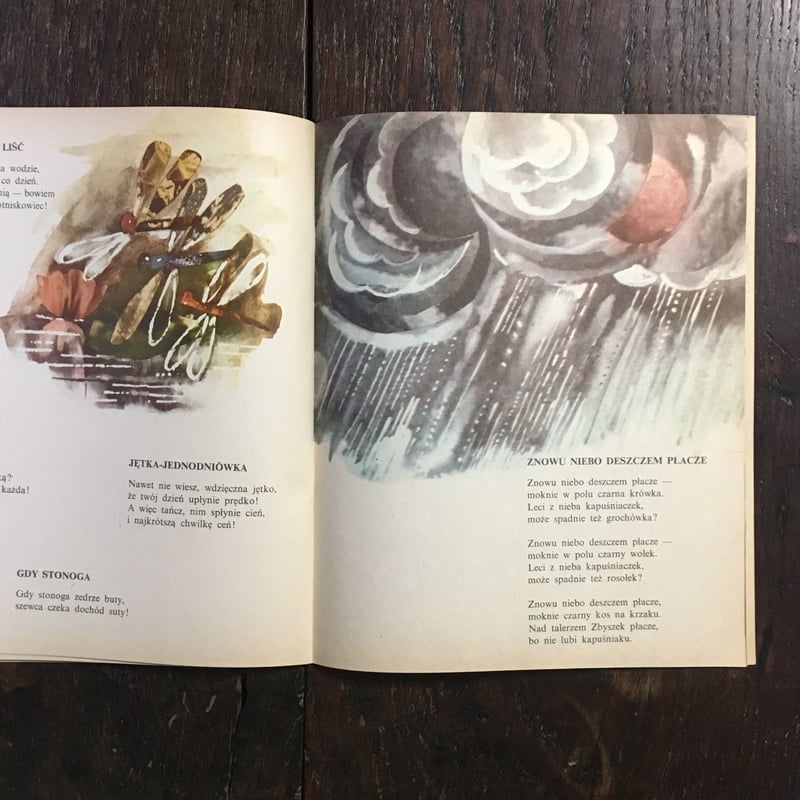 Walter E. Lautenbacher 写真集　稀少本 Walter E. Lautenbacher 写真集 稀少本 Walter E. Lautenbacher