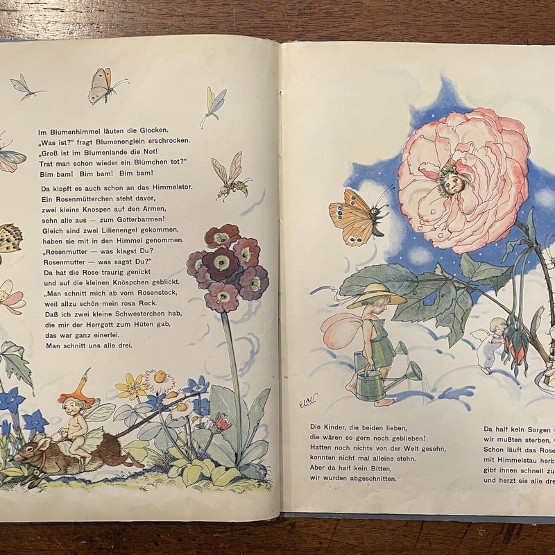 絵本・児童書 Blumen eis Blumen IM BLUMENHIMMEL(1929年初版)」Sophie Reinheimer Els