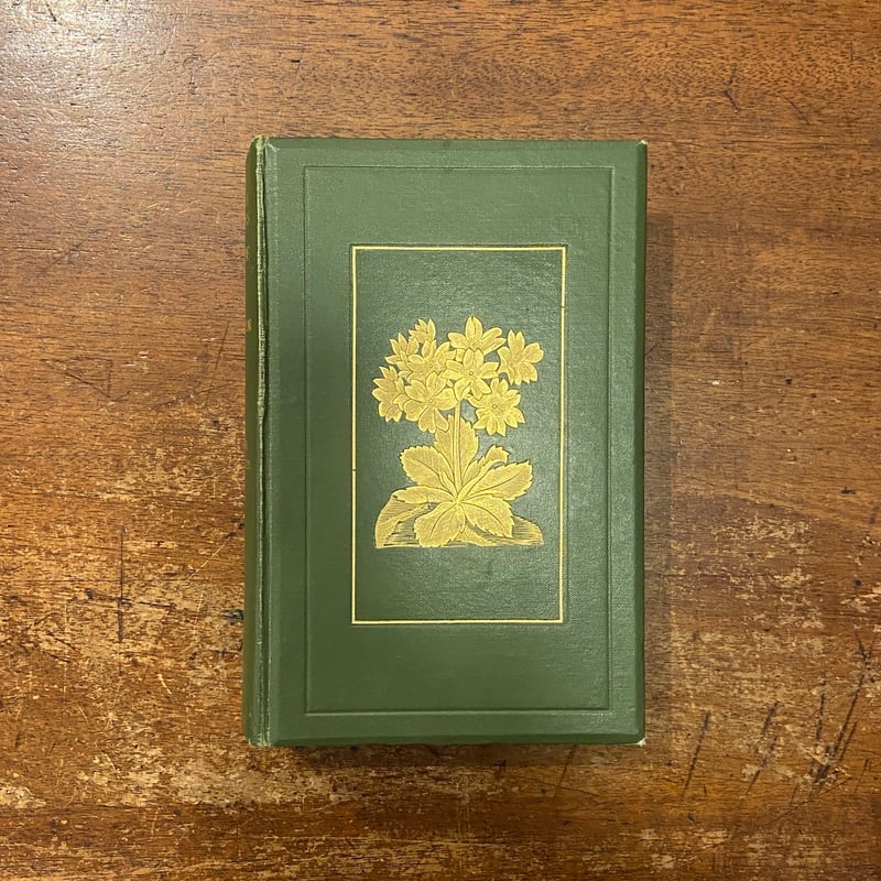 Alpine Plants of Europe Sixty-Four Coloured Pl