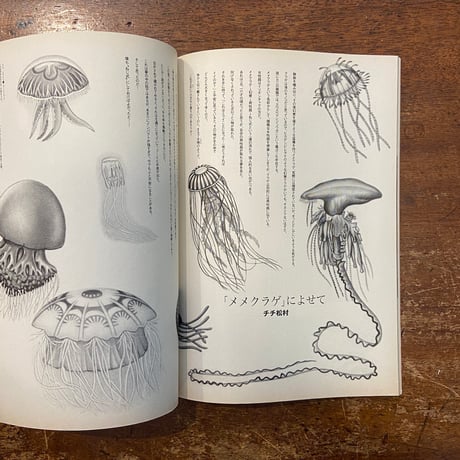 「ねじ式　映画パンフレット」