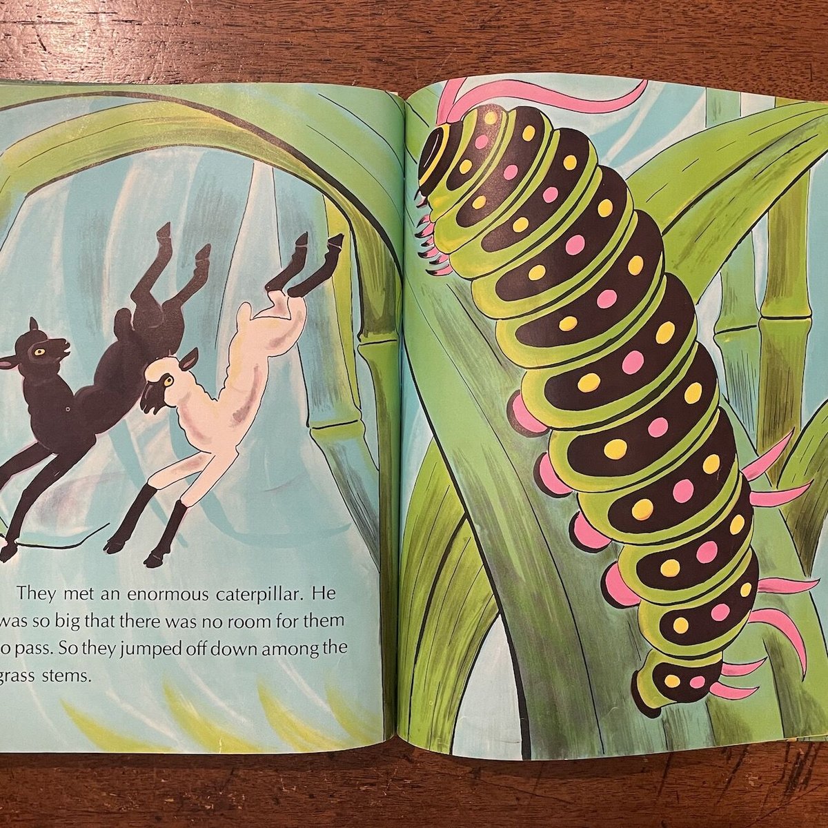 (珍しい本) DIES IRAE PAOLO PELLEGRIN (洋書) 珍しい本) DIES IRAE PAOLO PELLEGRIN (洋書) 珍しい本) DIES