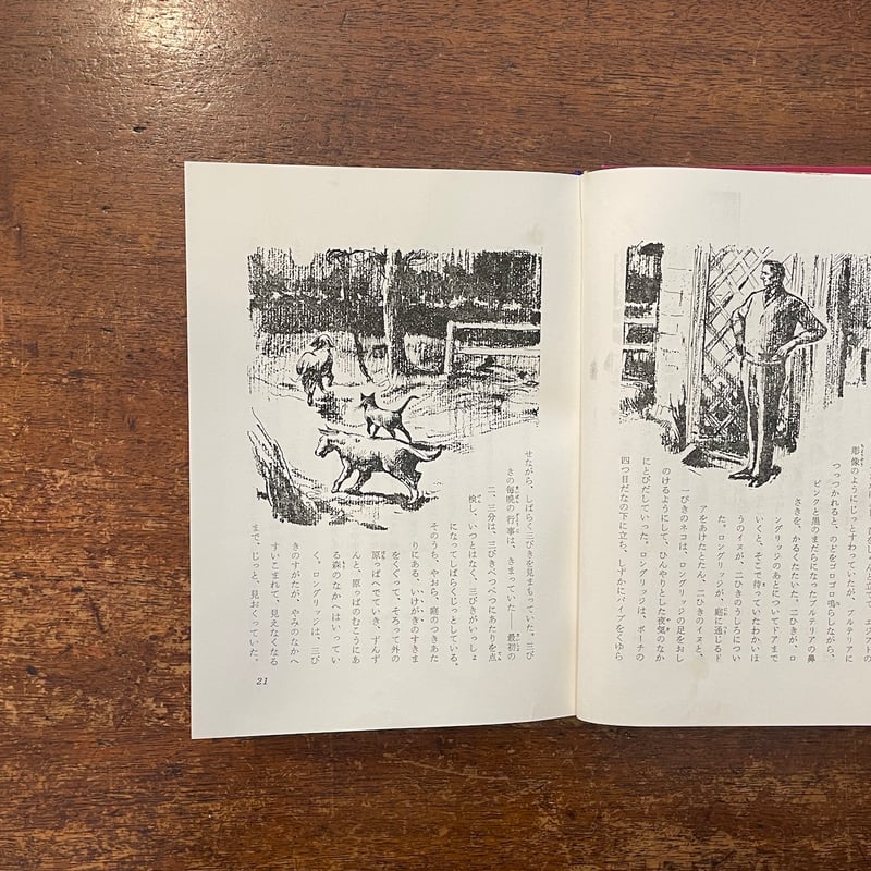 英米児童文学を読む アリスから湾岸戦争まで  /ディ-ティ-ピ-出版/斉藤美加（単行本） アリスのうさぎ | 斉藤 洋,森泉 岳土 | 絵本ナビ：レビュー・通販