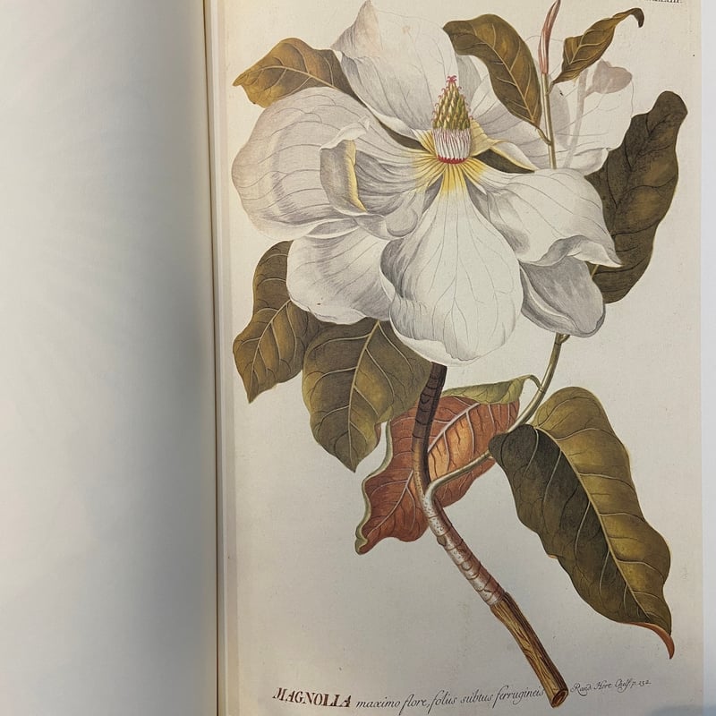 C.J.トレウ　植物精選百種図譜 C.J.トレウ植物精選百種図譜