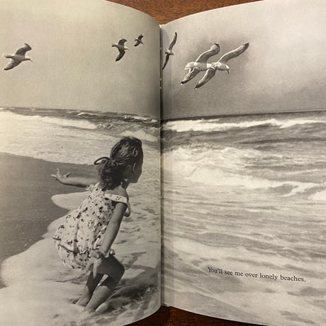 「Look at a GULL」Dare Wright