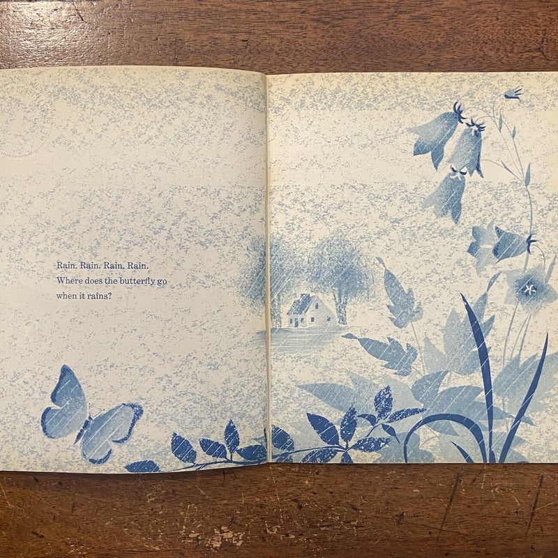 Where dose the butterfly go when it rains」May Where dose the butterfly go when it rains」May