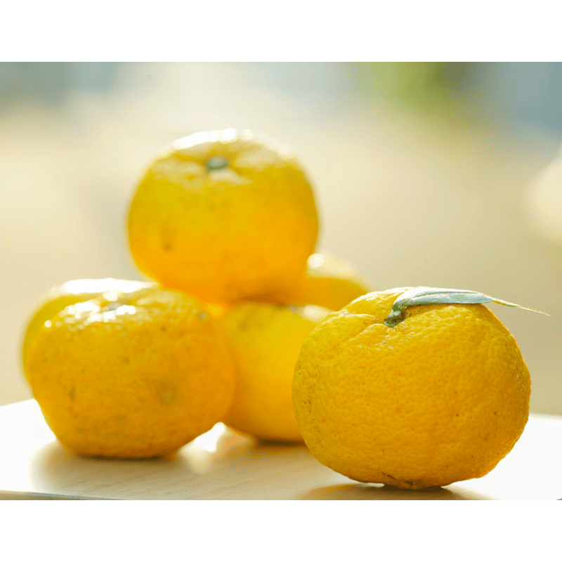 完熟ゆず皮ポン酢 （ゆず皮たっぷり） | フミ子の生ゆず胡椒