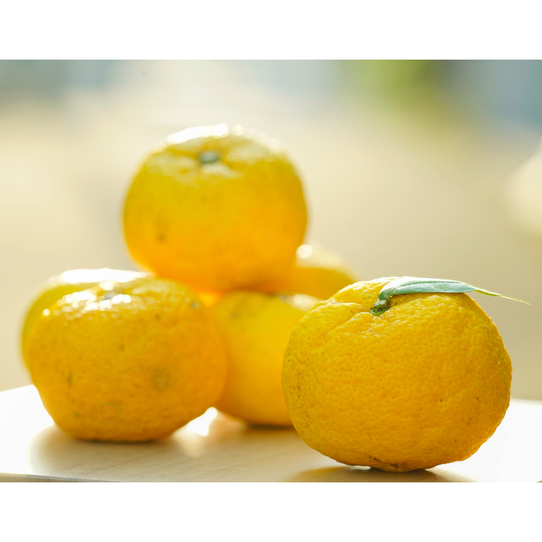 完熟ゆず皮ポン酢 （ゆず皮たっぷり） | フミ子の生ゆず胡椒