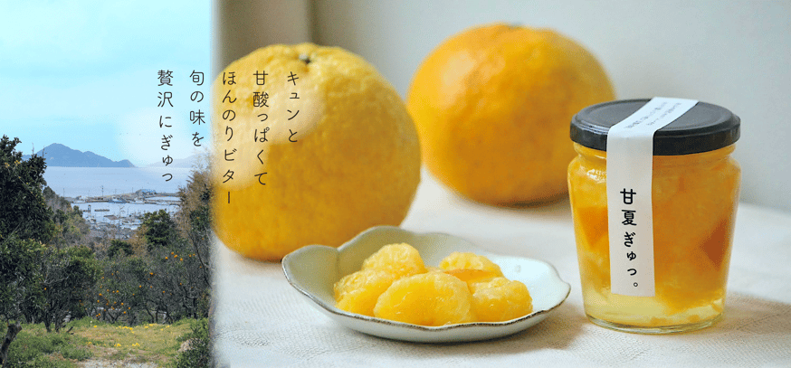 NEWS | フミ子の生ゆず胡椒