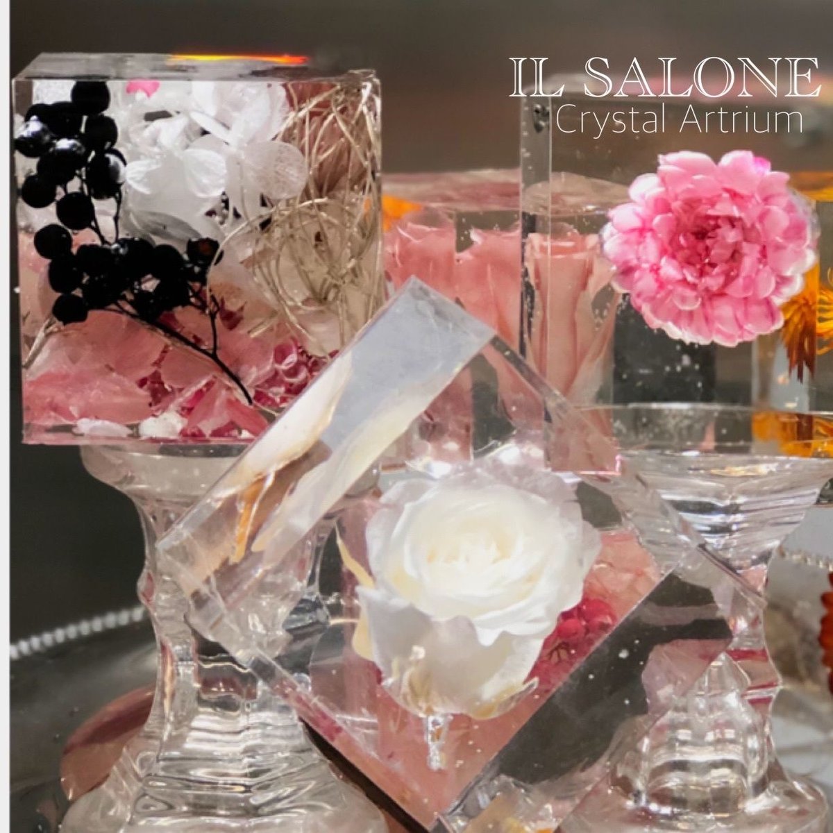 ご予約受付中！ハルコレ ！ハルコレハーバリウムガラスツリー