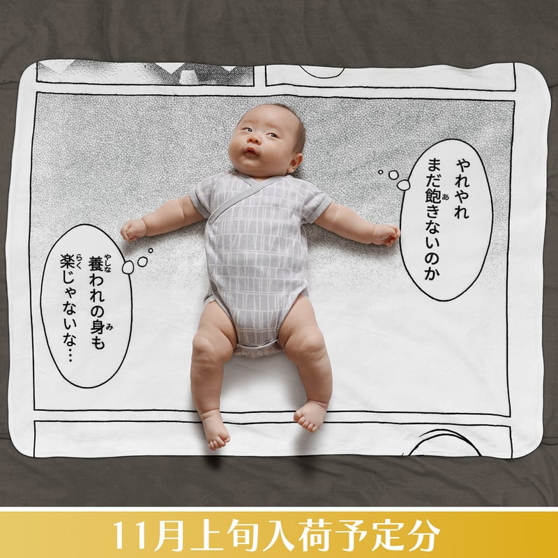 お昼寝コミックブランケット 2個セット 新品未使用品 お昼寝コミックブランケット／狸寝入り〘11月上旬入荷予定分