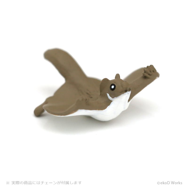 タニマダイバー ムササビ | ekōD Works