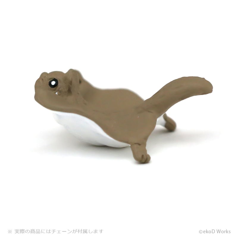 タニマダイバー ムササビ | ekōD Works